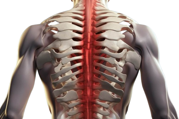 Dorsal Spine Treatment in Greater Noida